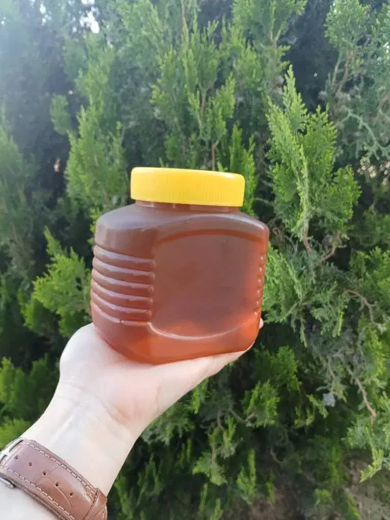 عسل تبریز|خوردنی و آشامیدنی|بندر ترکمن, |دیوار