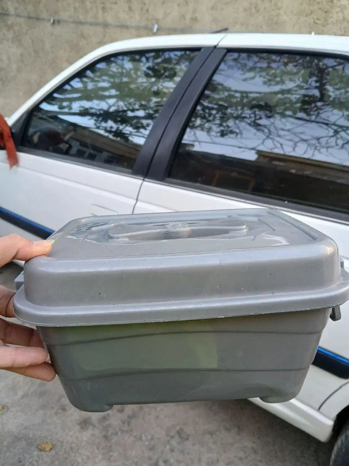 وسایل پلاستیک حراجی|ظروف نگهدارنده، پلاستیکی، یکبارمصرف|قروه, |دیوار