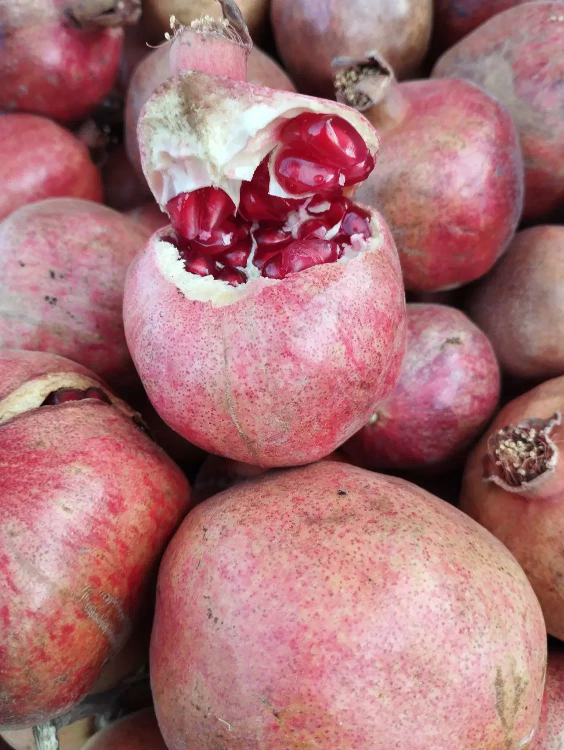 انار قرمز و آب دار عمده|خوردنی و آشامیدنی|کلاشی, |دیوار