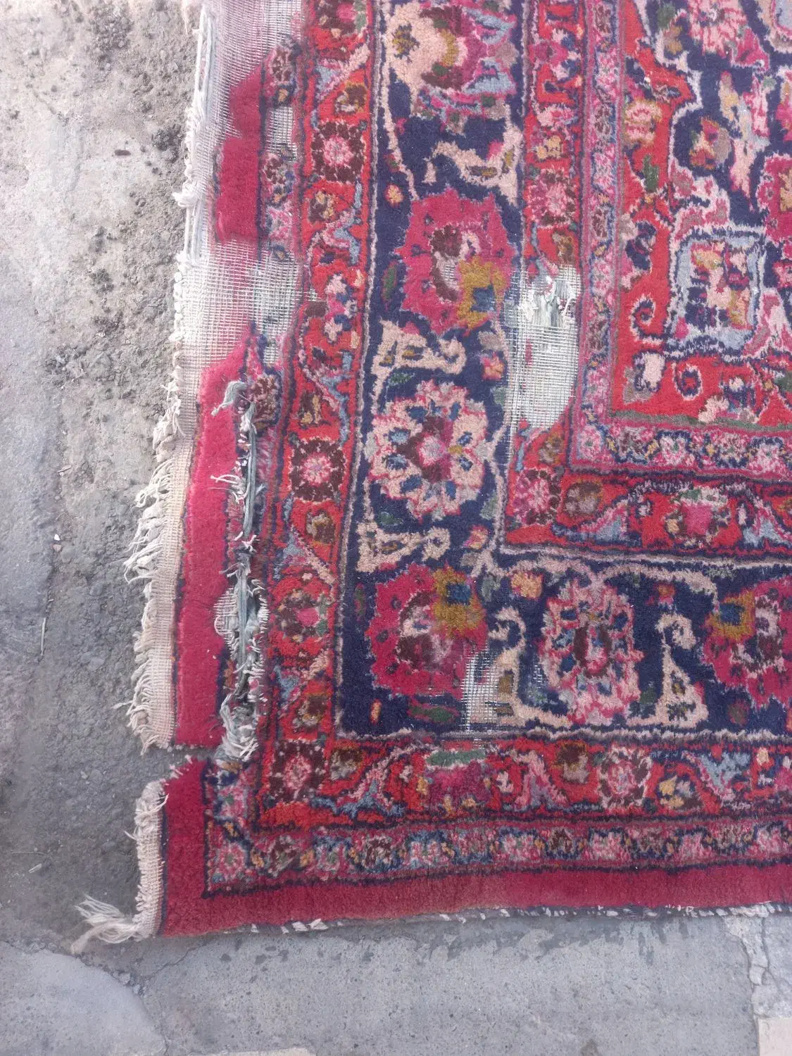 فرش دستی ۹متری|فرش|مشهد, قائم|دیوار