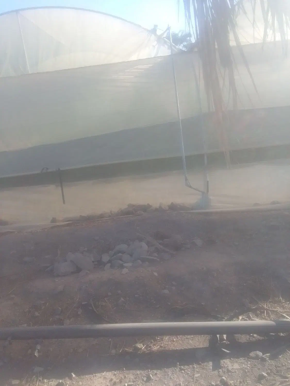 فروش گلخانه|فروش دفتر صنعتی، کشاورزی، تجاری|جیرفت, |دیوار