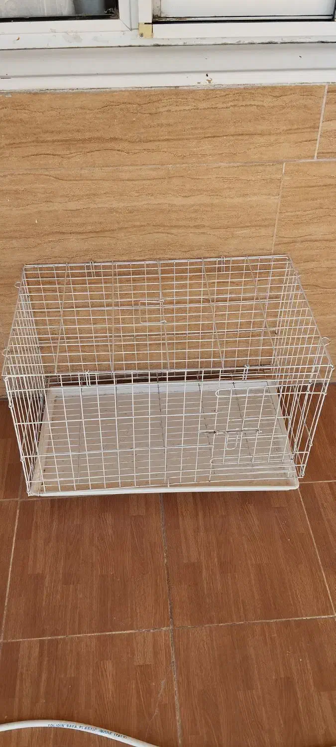 قفس بزرگ|پرنده|سرپل ذهاب, |دیوار