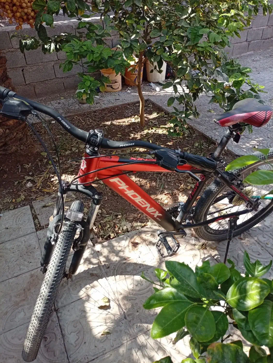 دوچرخه فونیکس۲۶ دنده ای|دوچرخه، اسکیت، اسکوتر|بم, |دیوار