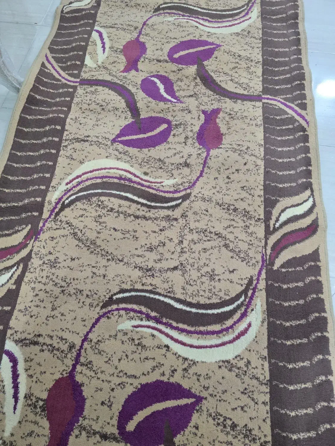 کناره در حد نو|گلیم، جاجیم، گبه|زاهدان, |دیوار