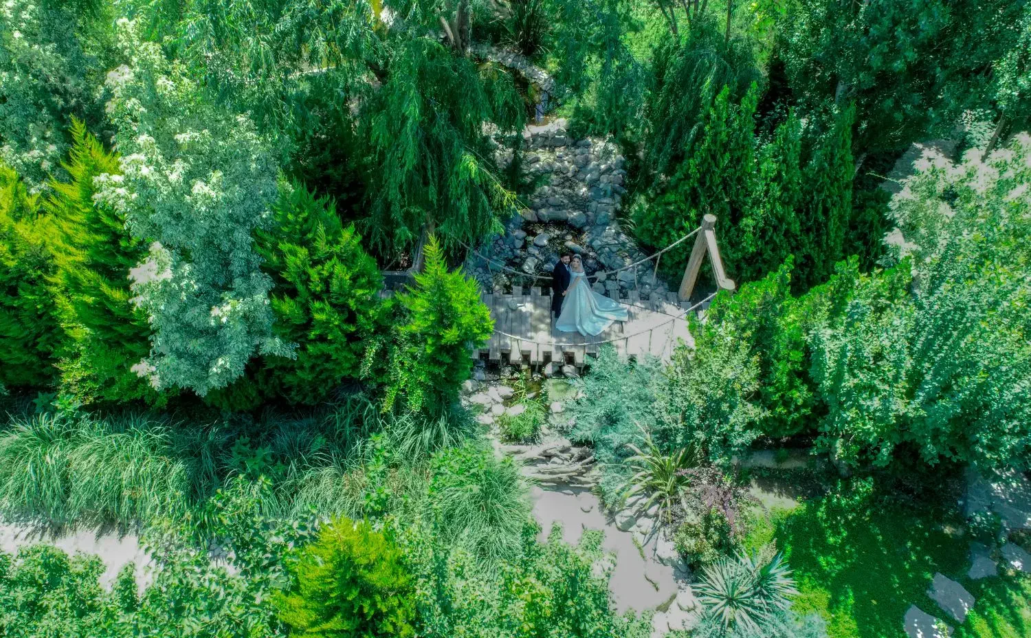 فیلمبردار و عکاس|خدمات پذیرایی، مراسم|بابل, |دیوار