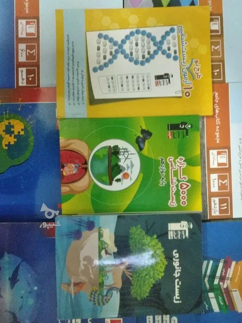 کتاب های کنکور تجربی قلمچی ۱۴۰۳ سالم و نو|کتاب و مجله آموزشی|کاشمر, |دیوار