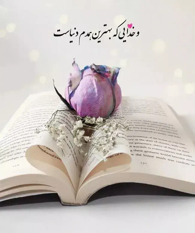 درود نیازمند ضامن برای وام مهربانی|فعالیت داوطلبانه تحقیقاتی|بوشهر, |دیوار