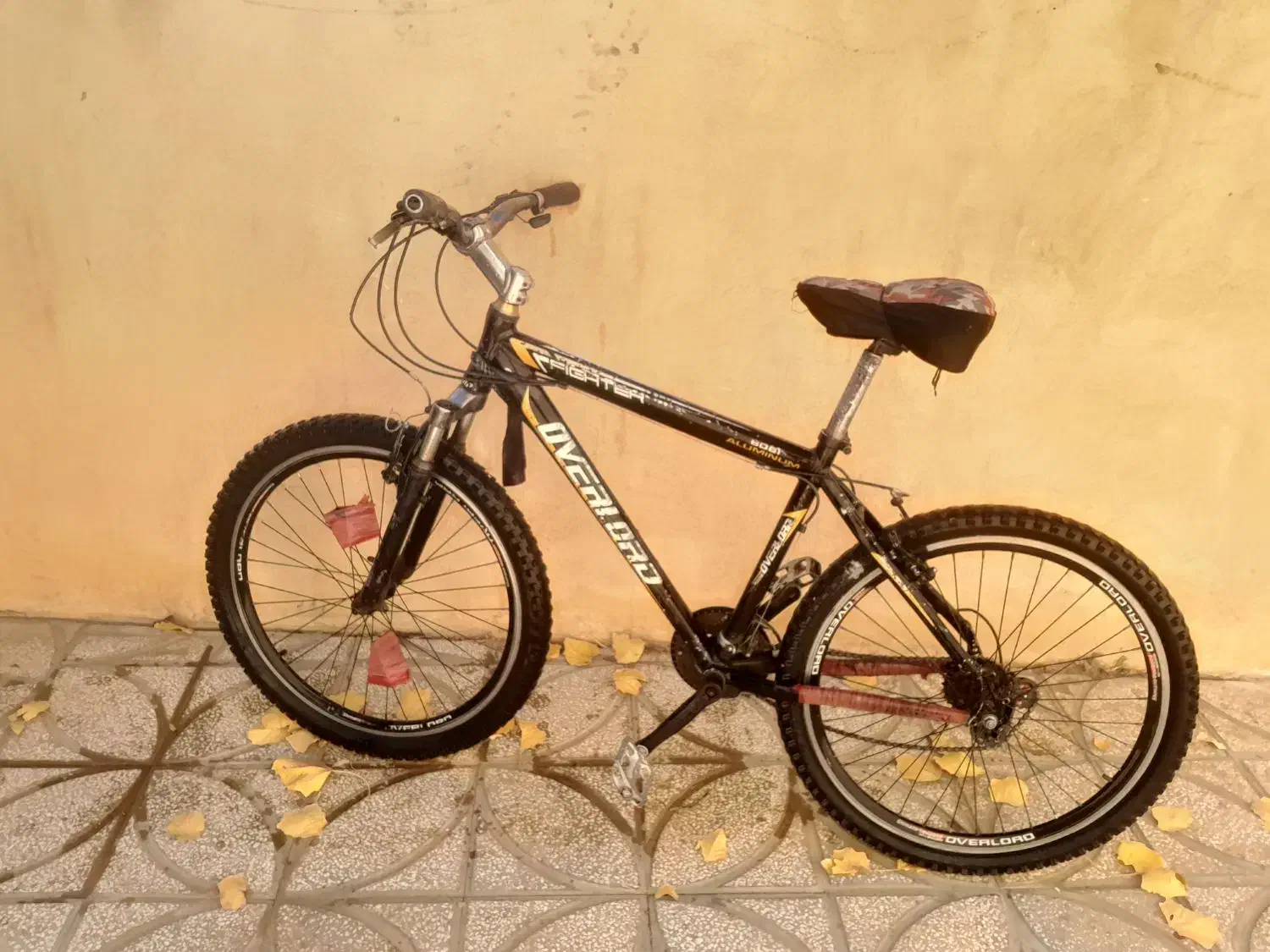 دوچرخه|دوچرخه، اسکیت، اسکوتر|اسلامیه, |دیوار