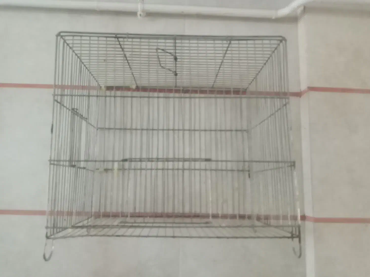 فروش قفس پرنده دست دوم|لوازم جانبی حیوانات|قزوین, |دیوار