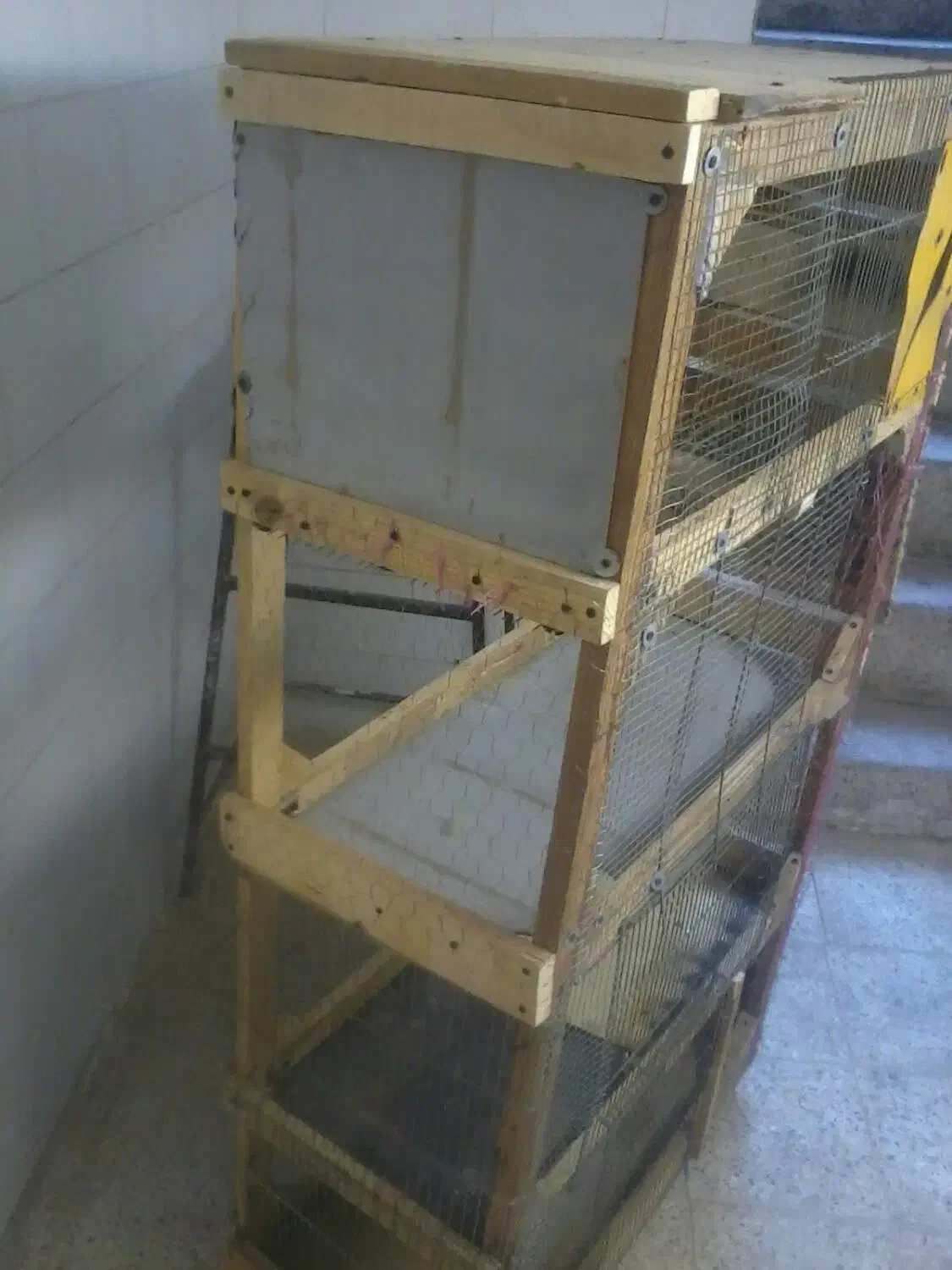 قفس|لوازم جانبی حیوانات|اصفهان, مولوی|دیوار