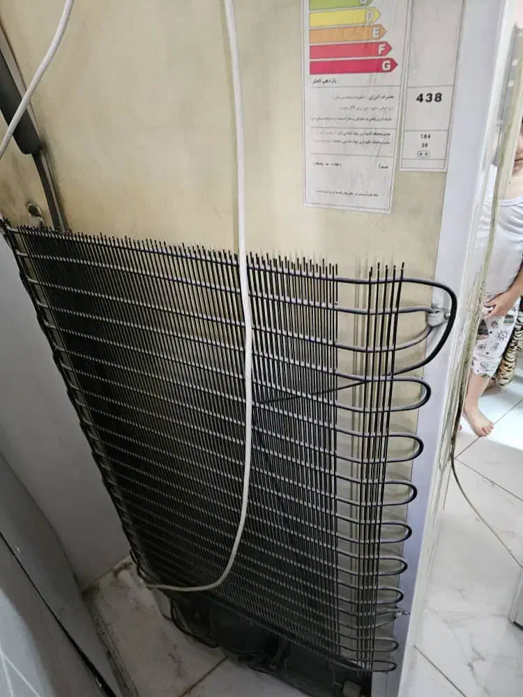 یخچال و فریزر|یخچال و فریزر|اردبیل, |دیوار