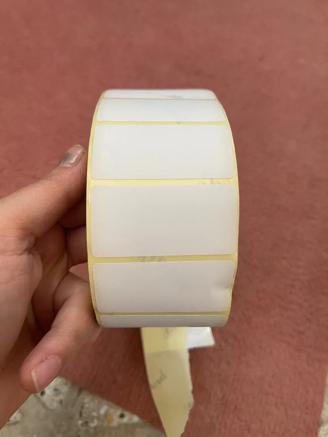 کاغذ|لوازم التحریر|ری, اقدسیه|دیوار