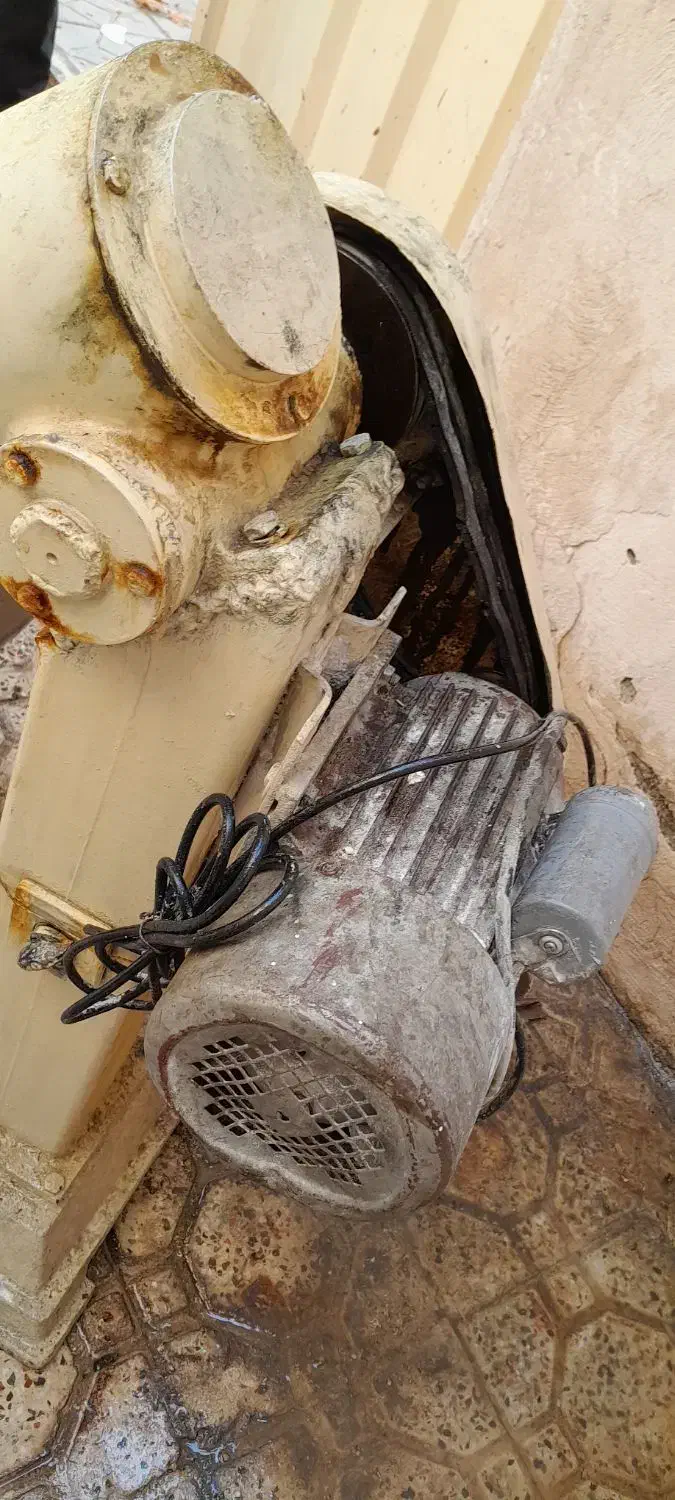 نوه سالم|فروشگاه و مغازه|نسیمشهر, |دیوار