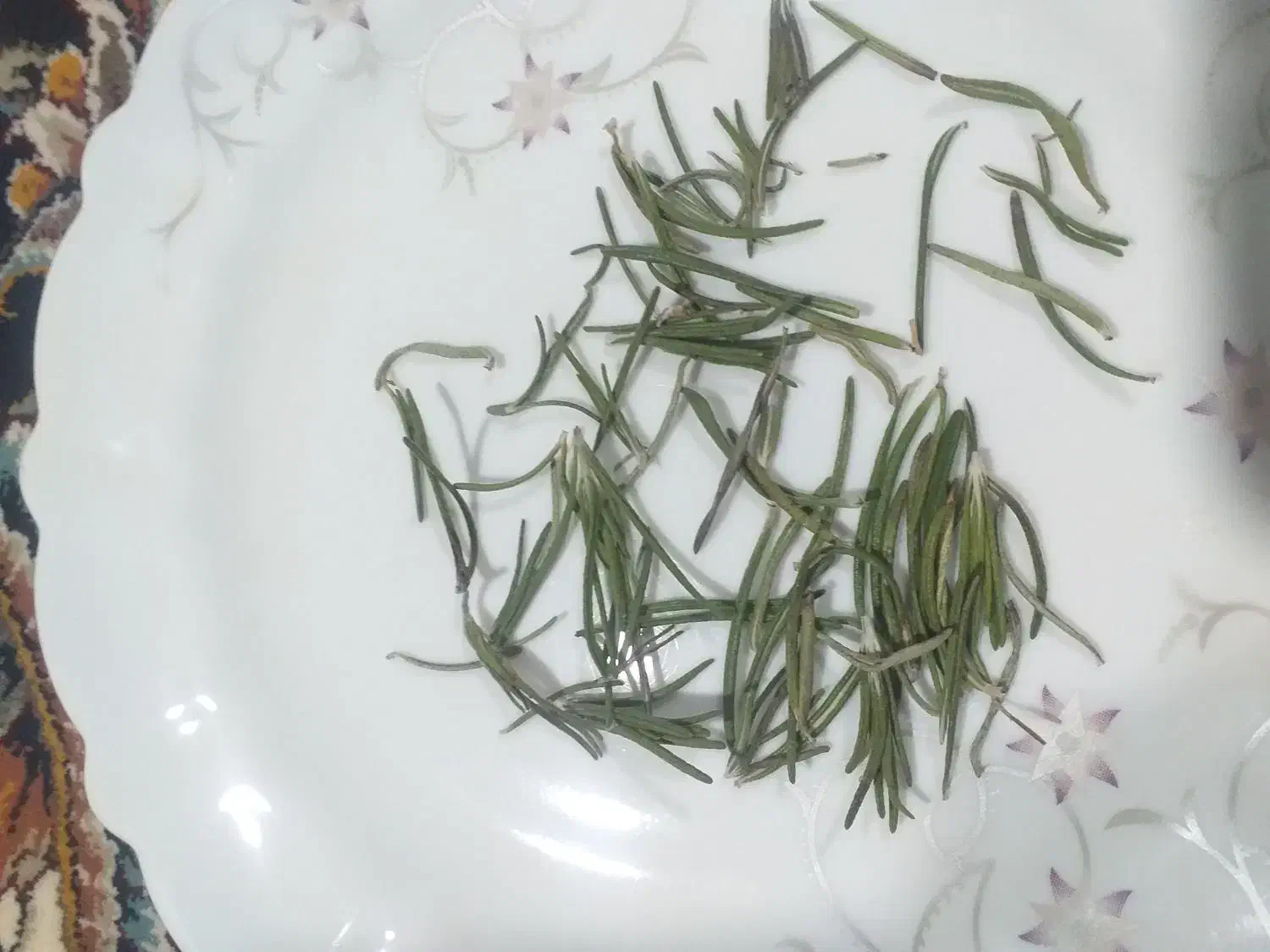 رزماری خشک ۵۰ تومن|خوردنی و آشامیدنی|پیشوا, |دیوار