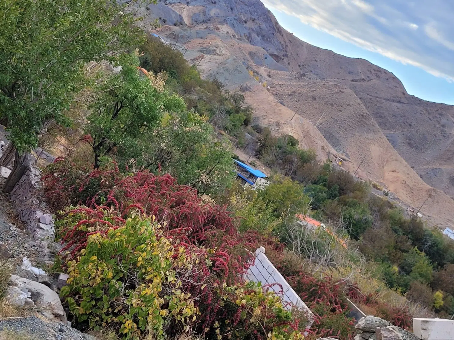 تصویر 7