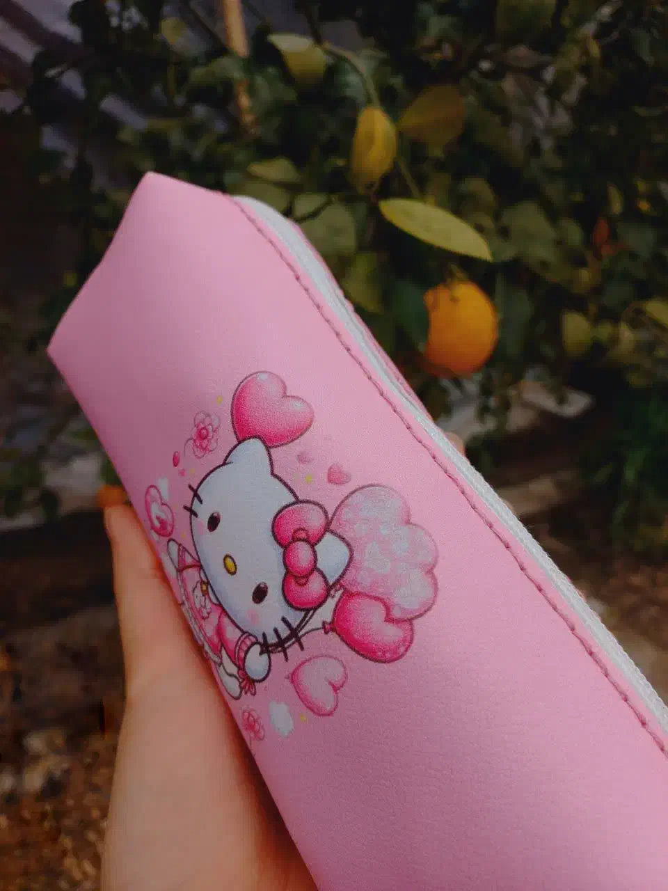 جامدادی|لوازم التحریر|آستانه اشرفیه, |دیوار