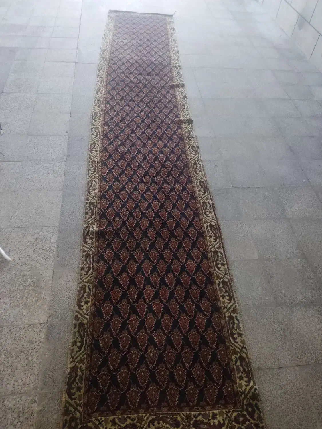 کناره فرش|فرش|بروجرد, |دیوار