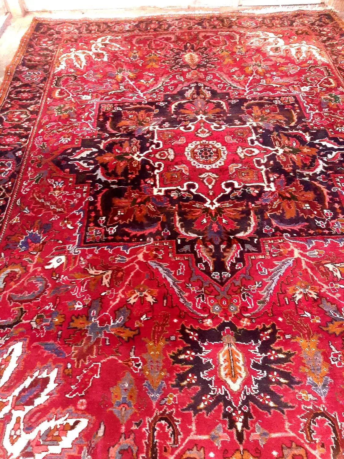 ۱۲متری اطراف|فرش|مراغه, |دیوار