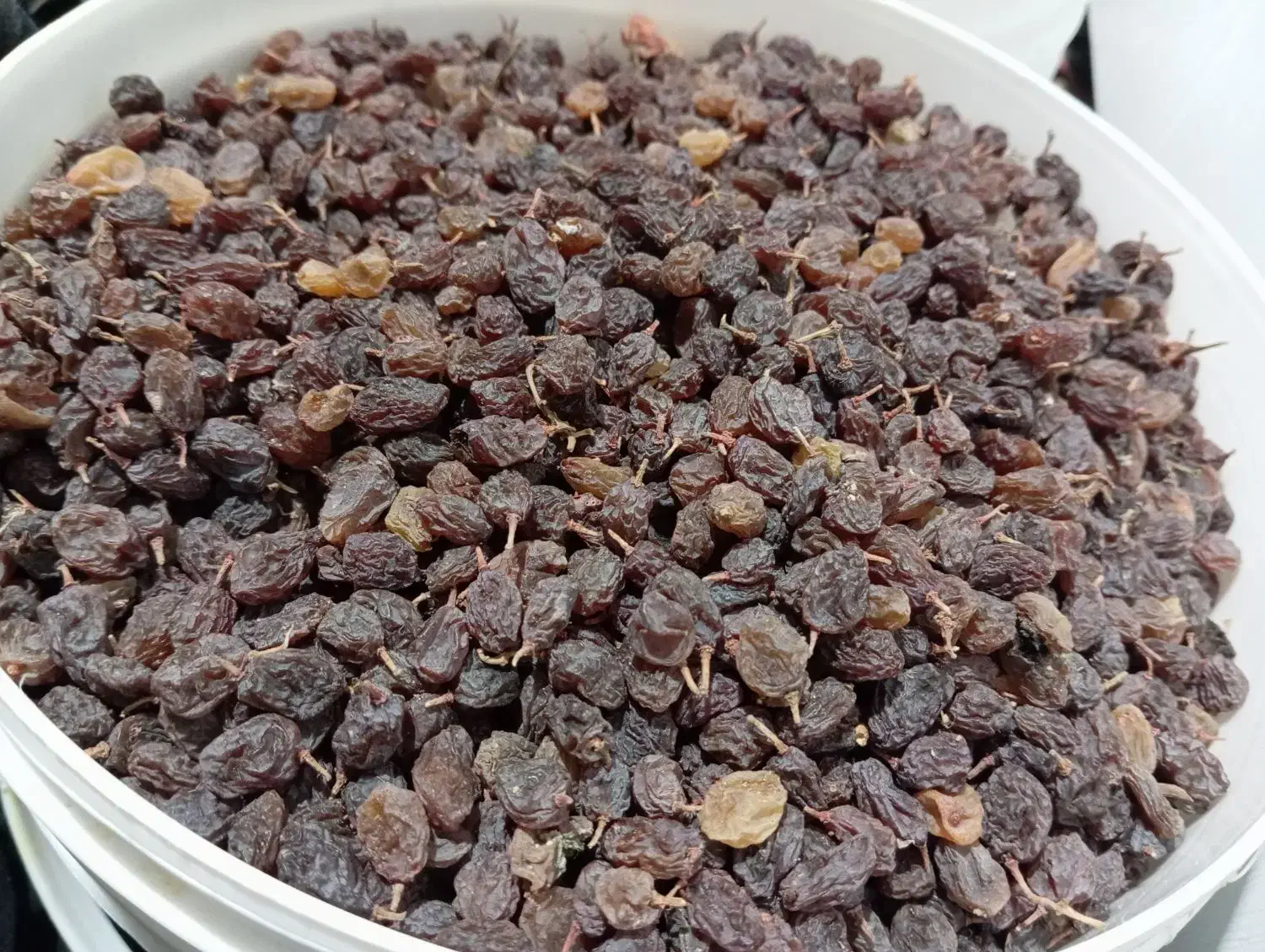 کشمش آفتابی درجه یک|خوردنی و آشامیدنی|ملایر, |دیوار