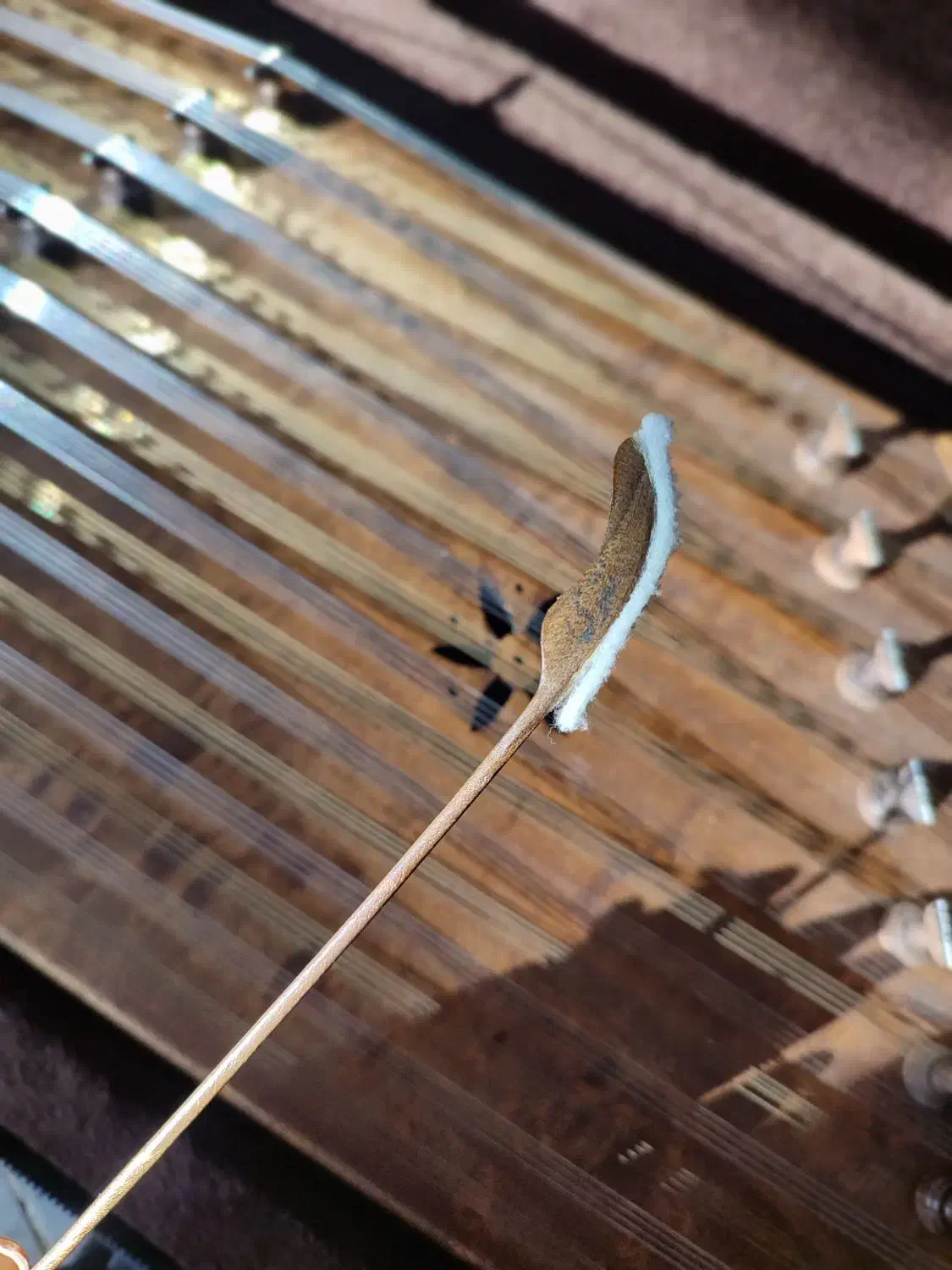 سنتور اصلی|سازهای سنتی|زرقان, |دیوار