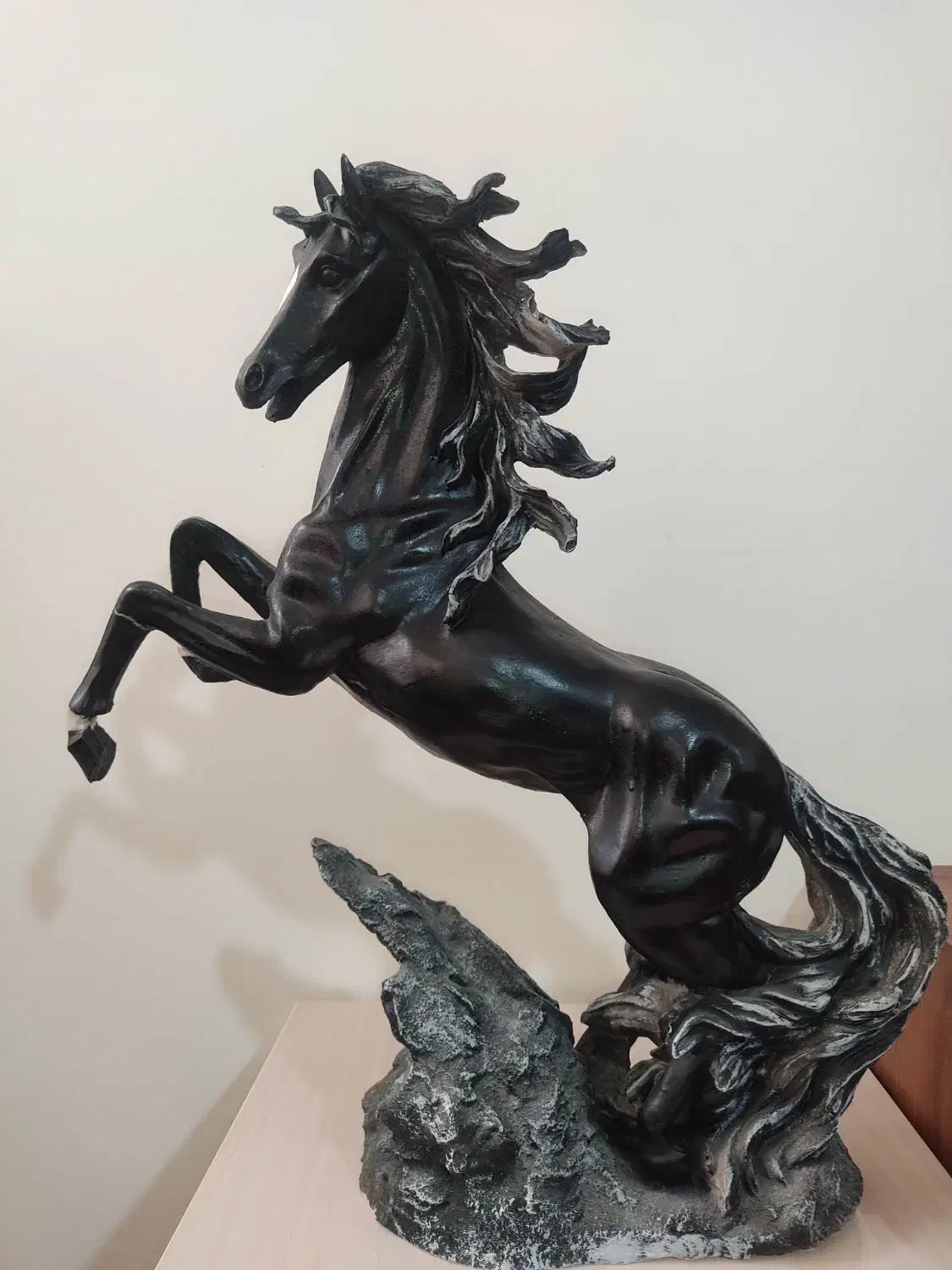 اسب|اسب و تجهیزات اسبسواری|مراغه, |دیوار