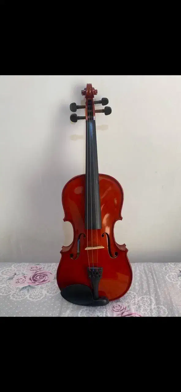 ویالون TF student|ویولن|رشت, منظریه|دیوار