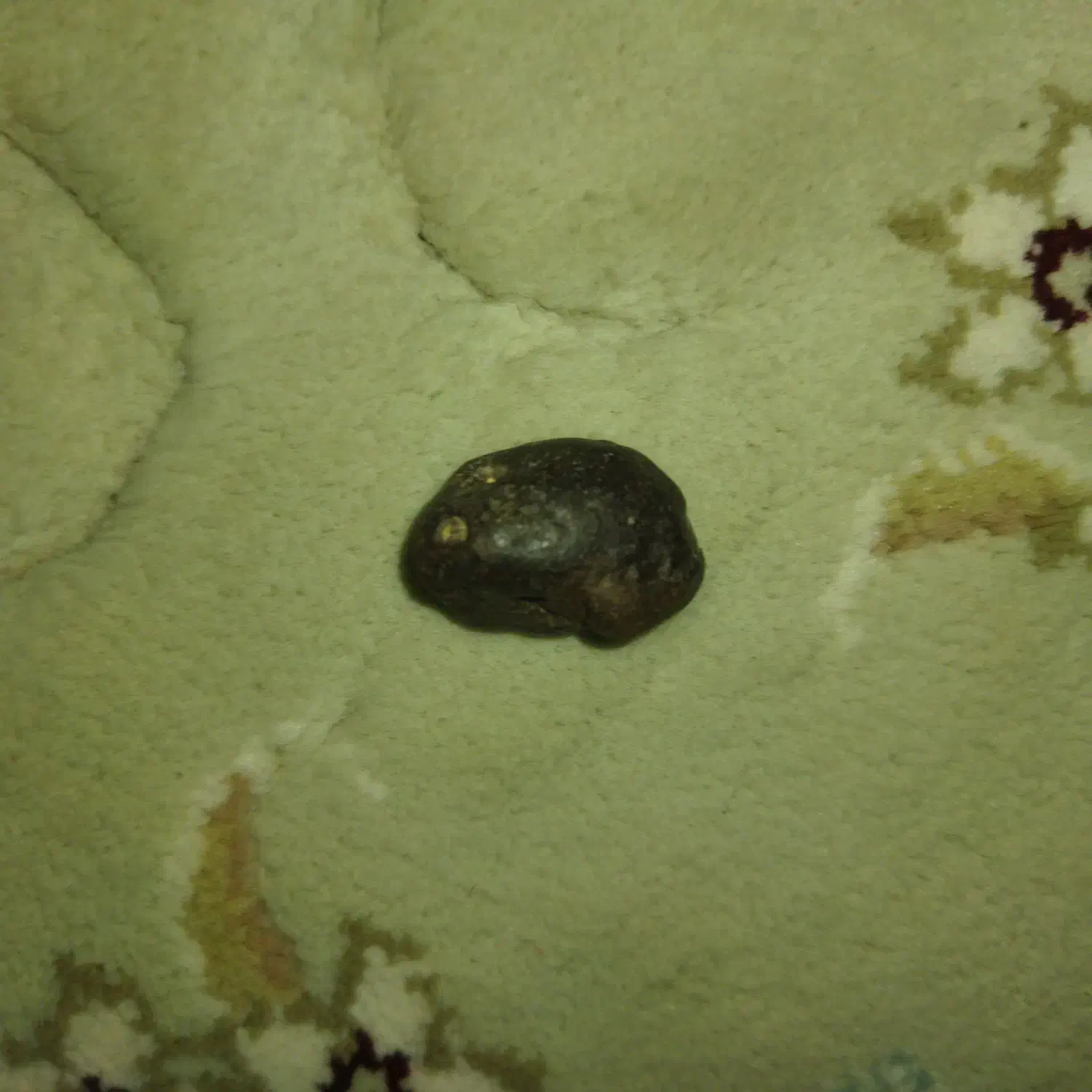 شهاب سنگ|کلکسیون و سرگرمی|اسفراین, |دیوار