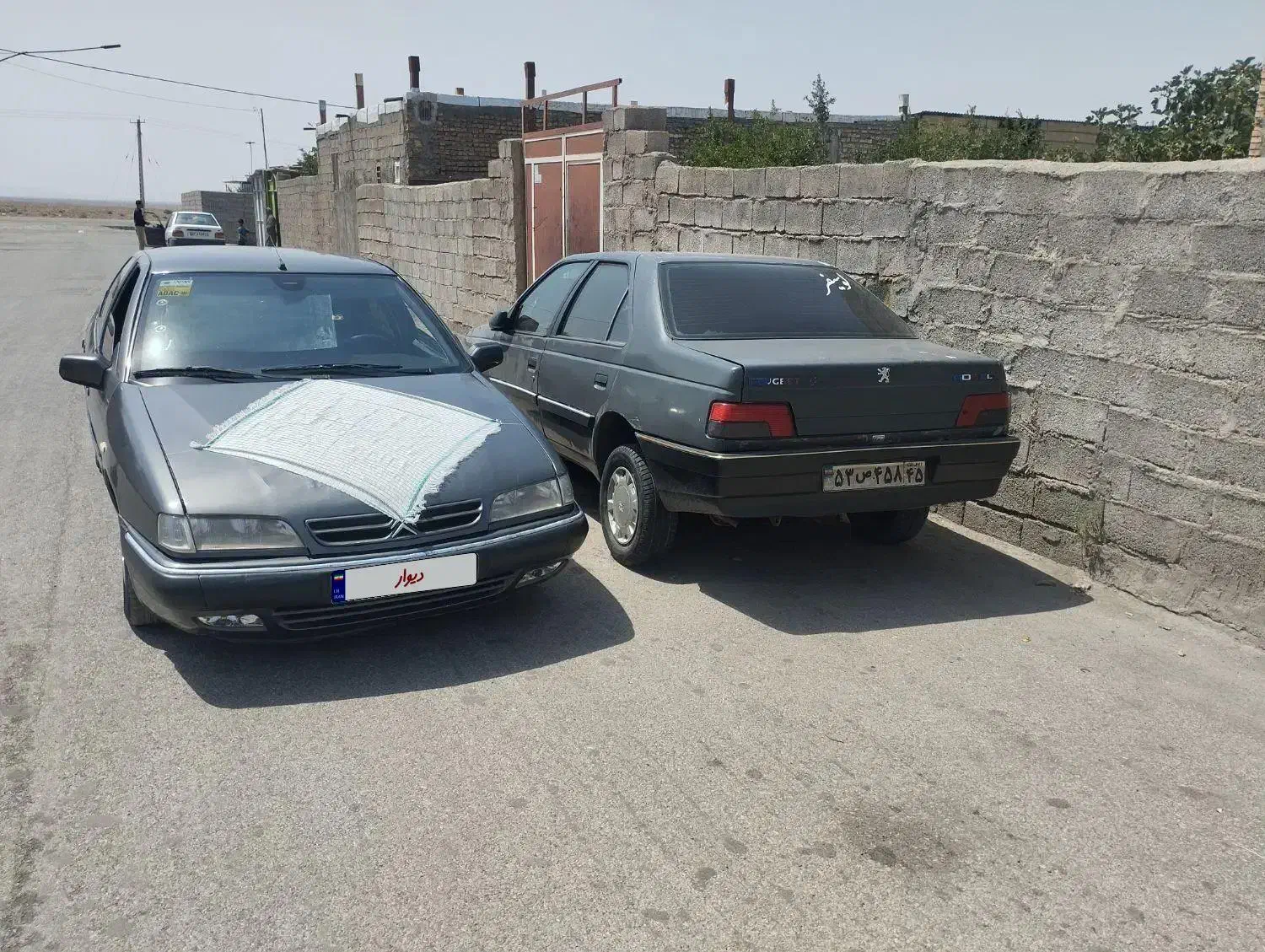 زانتیا مدل 82 دلفینی|خودرو سواری و وانت|سیرجان, |دیوار