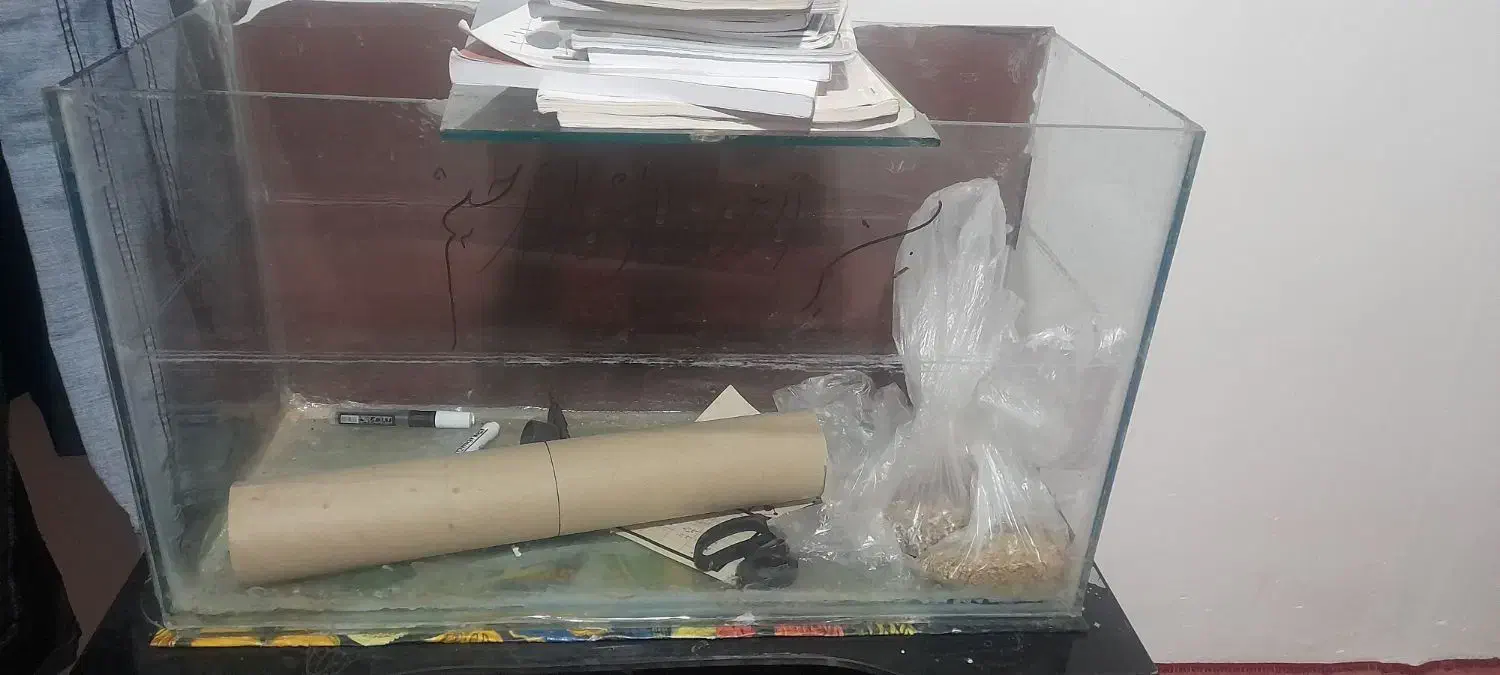 آکواریم|لوازم جانبی حیوانات|نرماشیر, |دیوار