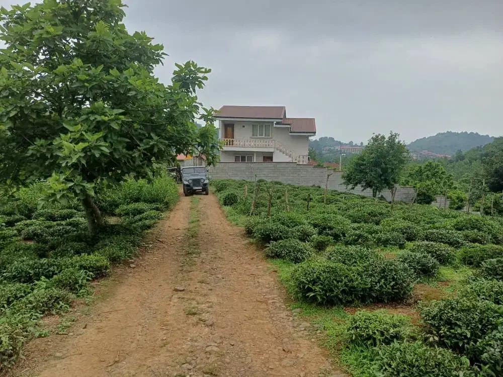 تمیز|فروش زمین و ملک کلنگی|رانکوه, |دیوار