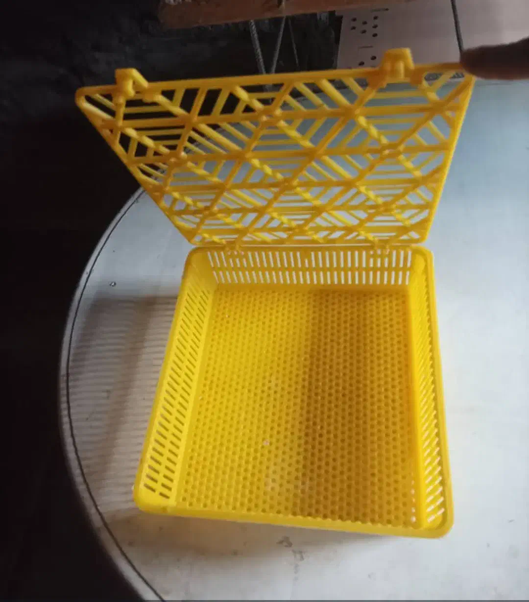 سبد جوجه کشی|لوازم جانبی حیوانات|گرگان, |دیوار