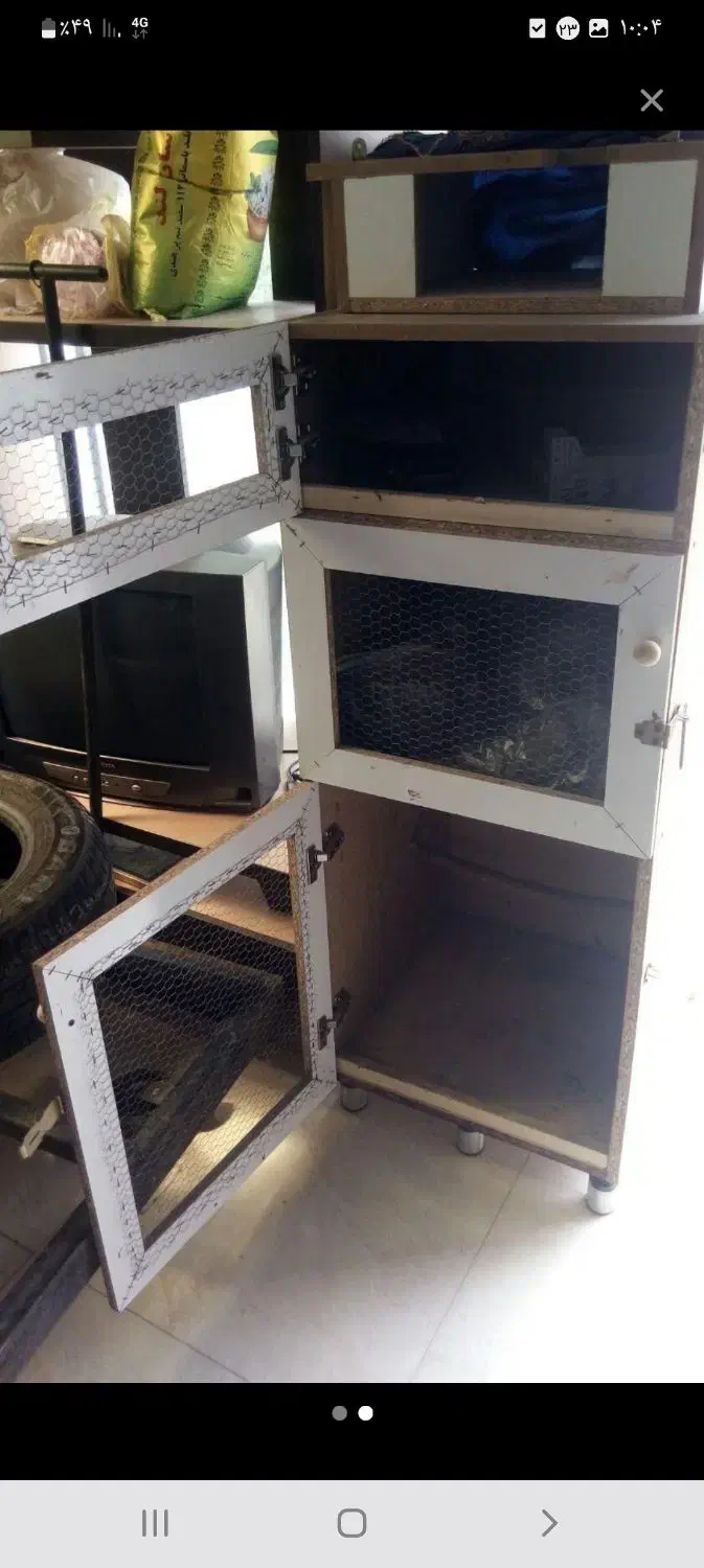 لانه مرغ و قفس پرنده|حیوانات مزرعه|رشت, حومه رشت|دیوار