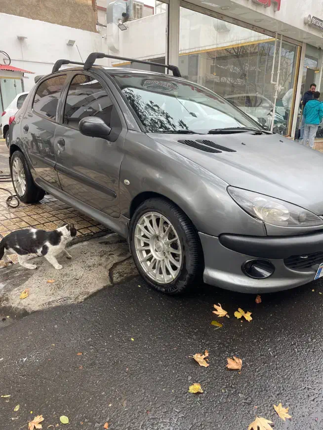 ۲۰۶ تیپ ۵|خودرو سواری و وانت|کرج, دولتآباد|دیوار