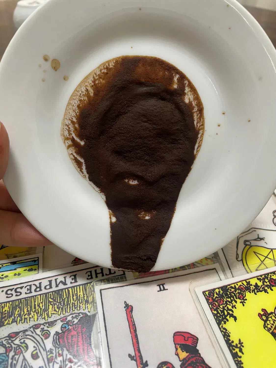 فال قهوه|خدمات پذیرایی، مراسم|بوکان, |دیوار