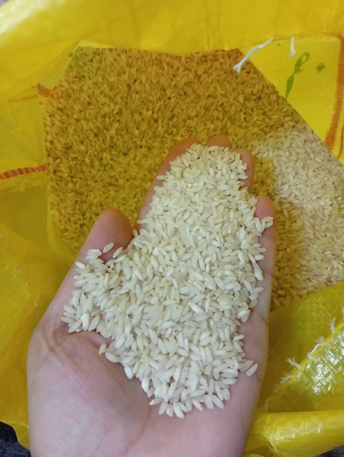 برنج عنبر بو شوشتربا طبع گرم بارجدیدرسید.|خوردنی و آشامیدنی|آران و بیدگل, |دیوار