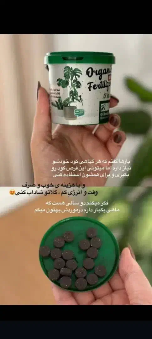 قرص ارگانیک|گل و گیاه طبیعی|لار, |دیوار