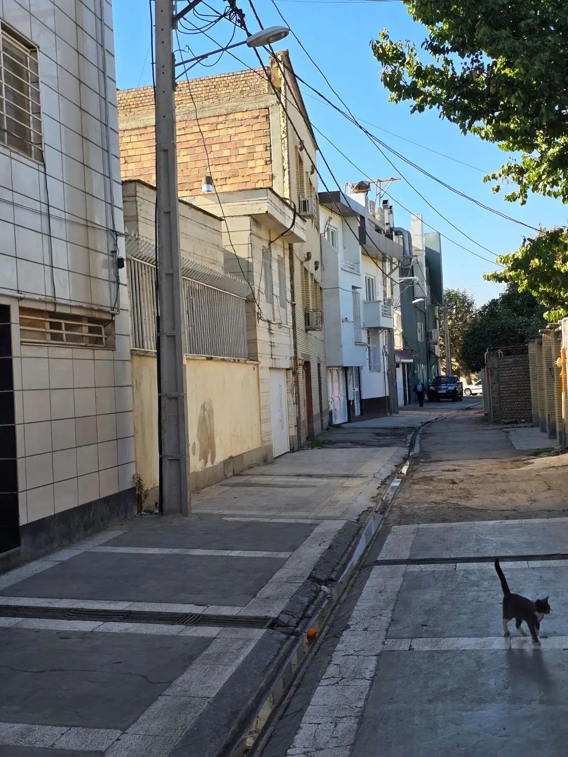 زمین فروشی محدوده برج قابوس|فروش زمین و ملک کلنگی|گنبد کاووس, |دیوار