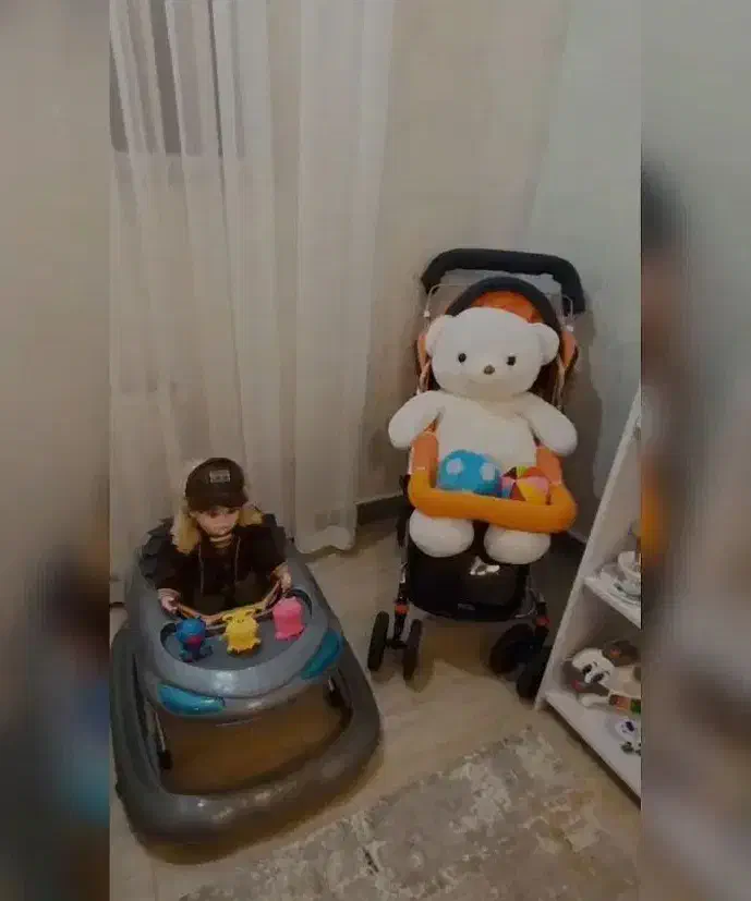 کالسکه|کالسکه و لوازم جانبی|تبریز, |دیوار