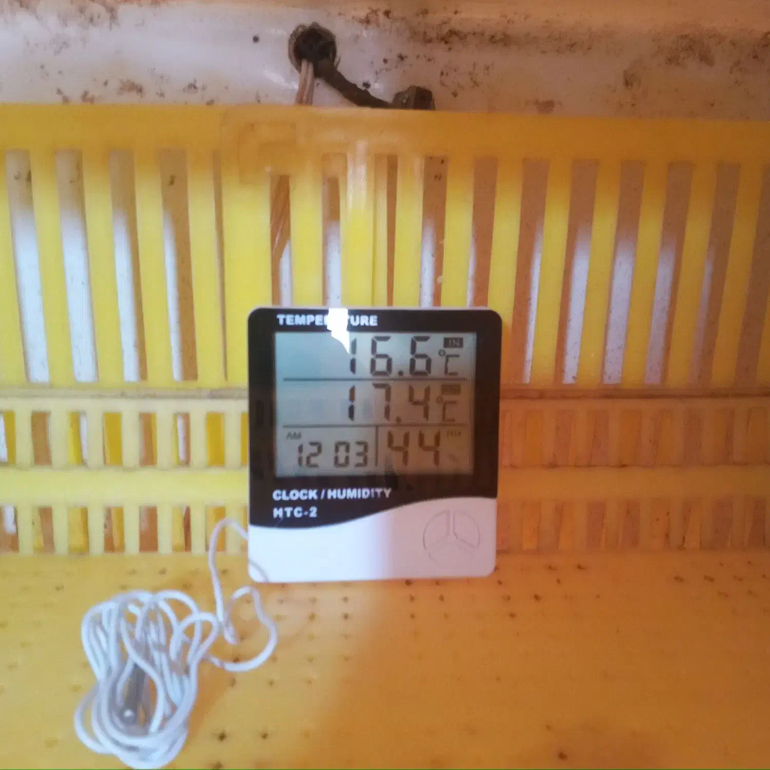 دستگاه جوجه کشی|لوازم جانبی حیوانات|گنبد کاووس, |دیوار