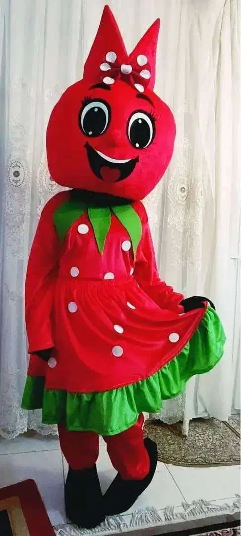 تن پوش عروسکی شب یلدا انار|اسباببازی|شیراز, تندگویان|دیوار