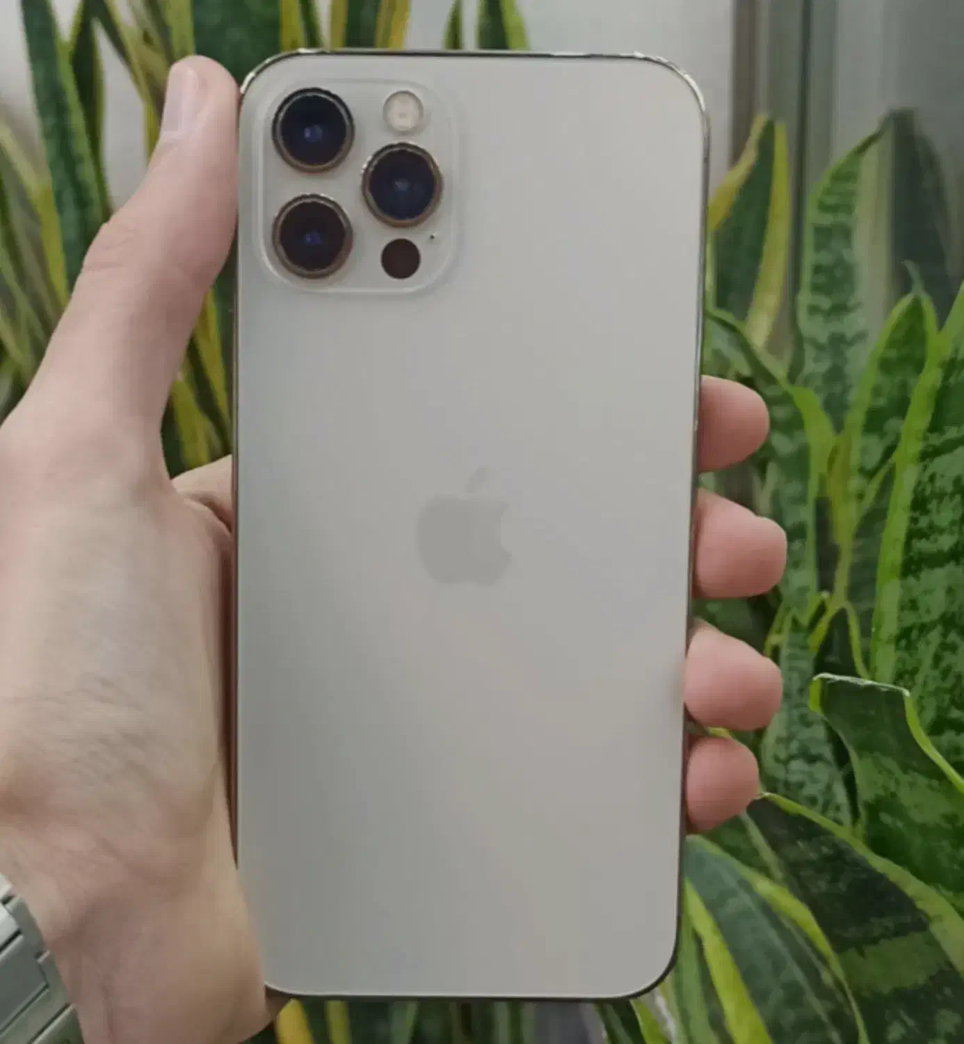 ۱۲پرودرحده نو|موبایل|کرج, شاهین‌ویلا|دیوار