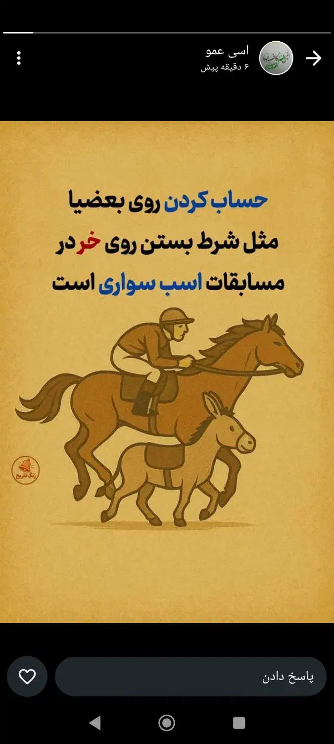 حیوان پیدا شده|حیوانات|زاهدان, |دیوار