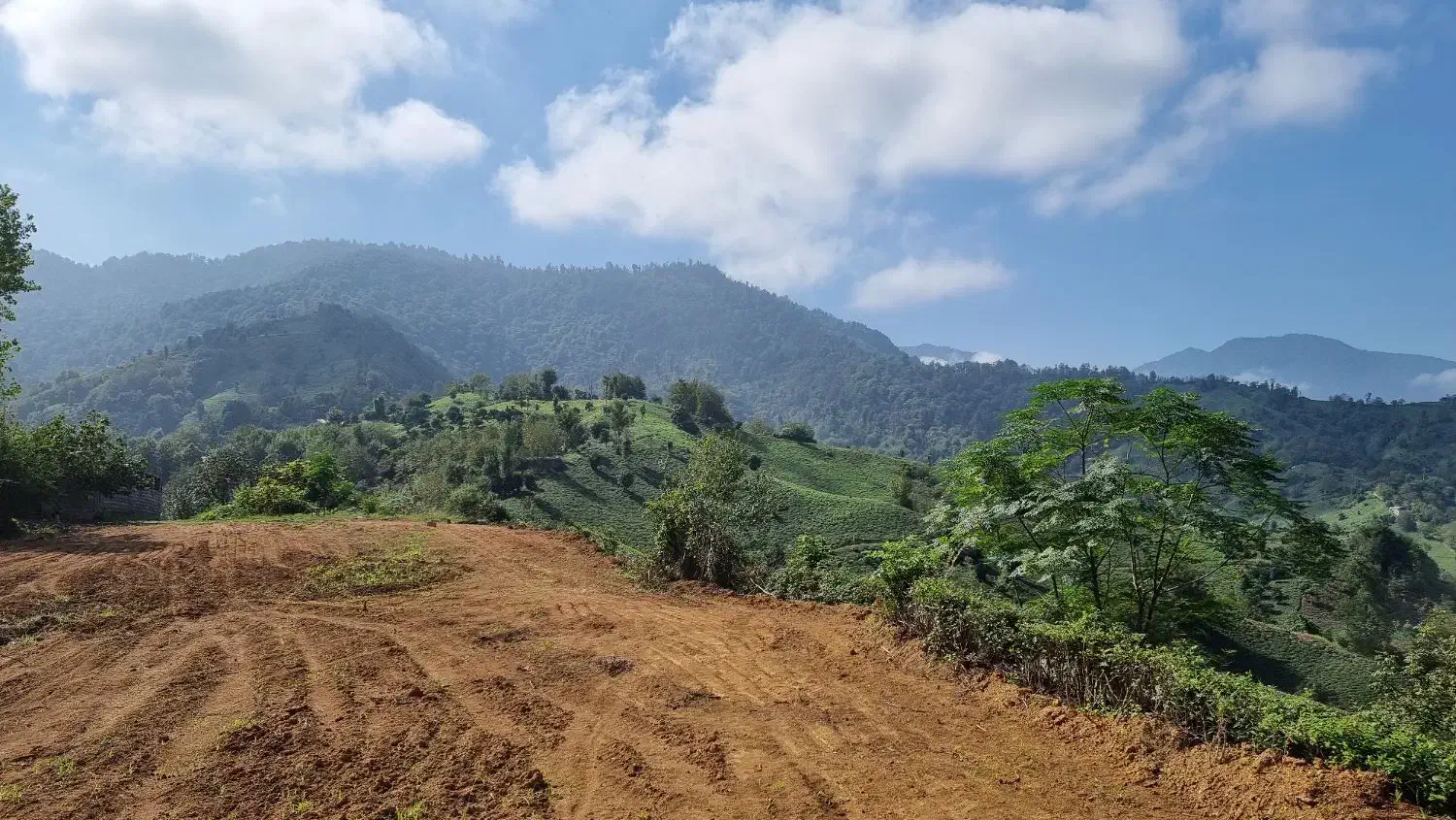 بلندترین نقطه ویو جنگل و دریا و تمام شهرهای با سند|فروش زمین و ملک کلنگی|چابکسر, |دیوار