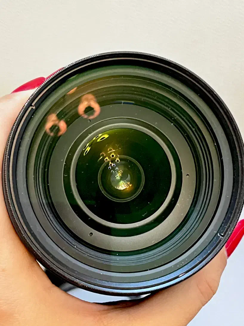Sigma Art 24-70 / Nikon|دوربین عکاسی و فیلم‌برداری|یزد, |دیوار
