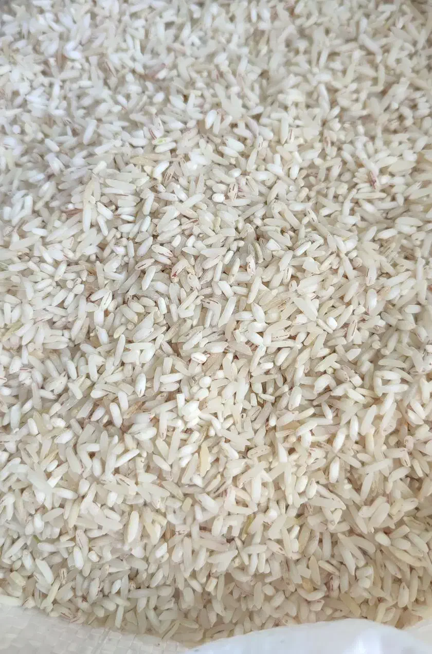 برنج محلی|خوردنی و آشامیدنی|گنبد کاووس, |دیوار