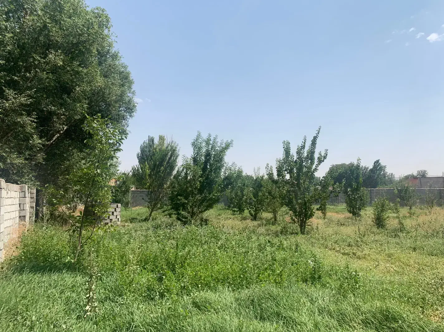 باغ بالاتر از خاوران نرسیده به باسمنج(قابل معاوضه)|فروش دفتر صنعتی، کشاورزی، تجاری|تبریز, |دیوار