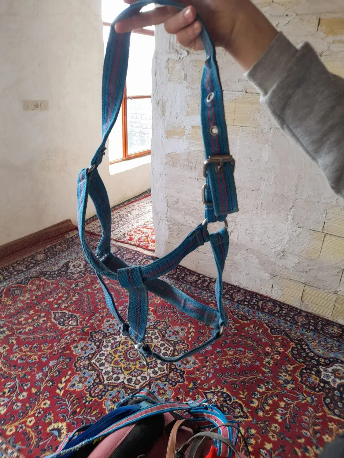 وسائل اسب|اسب و تجهیزات اسب‌سواری|نهاوند, |دیوار