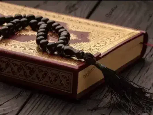 سرکتاب موکلدار حصار حجاب ودعا|فعالیت داوطلبانه|شیراز, باغ تخت|دیوار