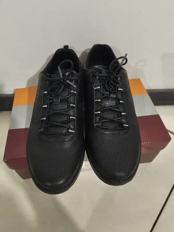 کفش چرم ملی|کیف، کفش، کمربند|فردیس, منظریه|دیوار