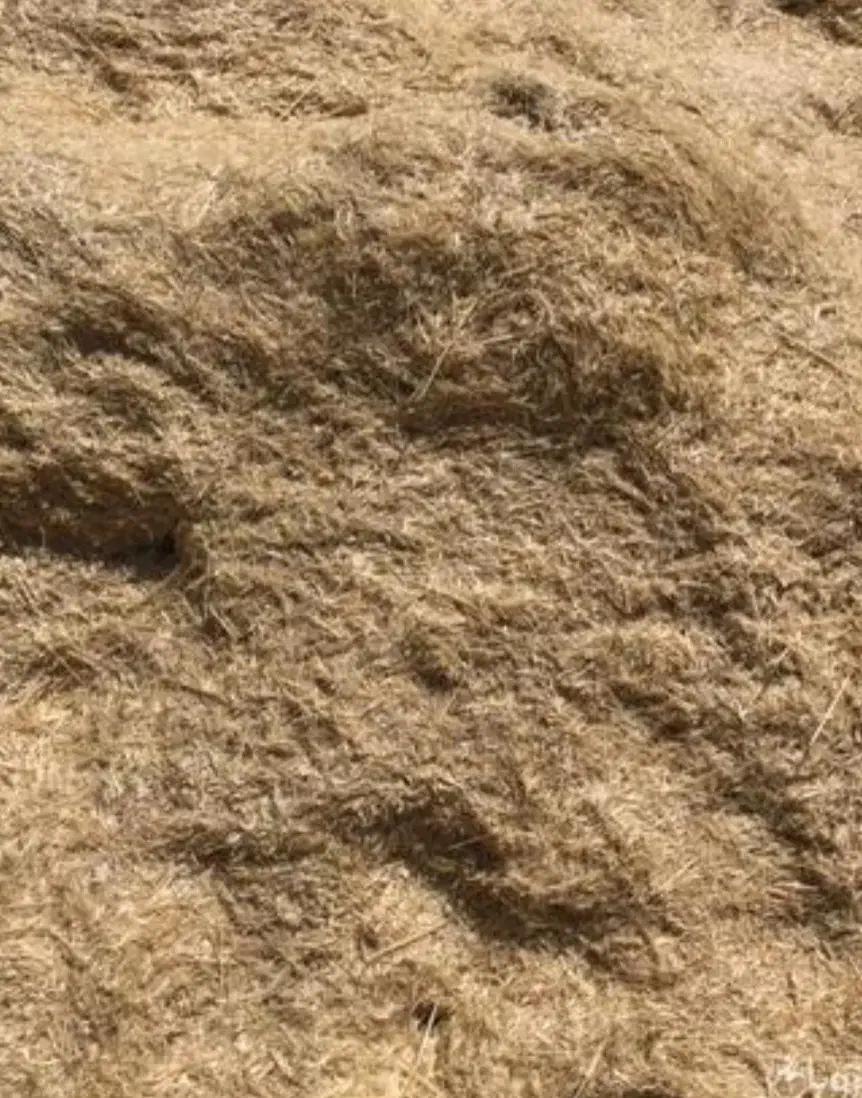 کاه|لوازم جانبی حیوانات|گرمخان, |دیوار